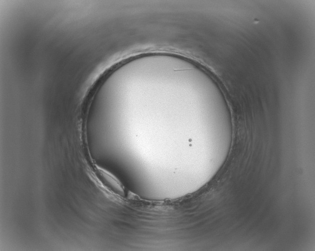 X0000063461503200602101701