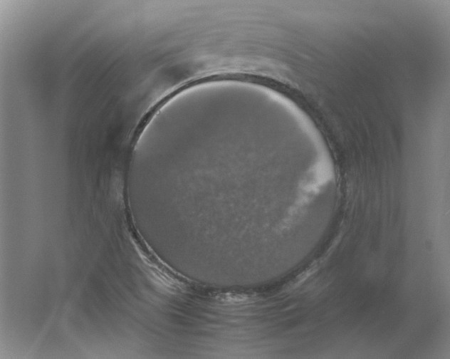 X0000063461505200602101701