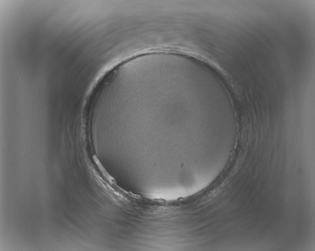 X0000063461506200602101701