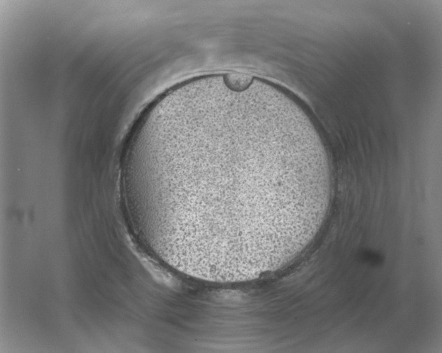 X0000063461507200602101701