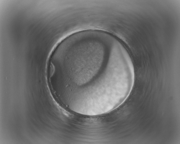 X0000063461508200602101701