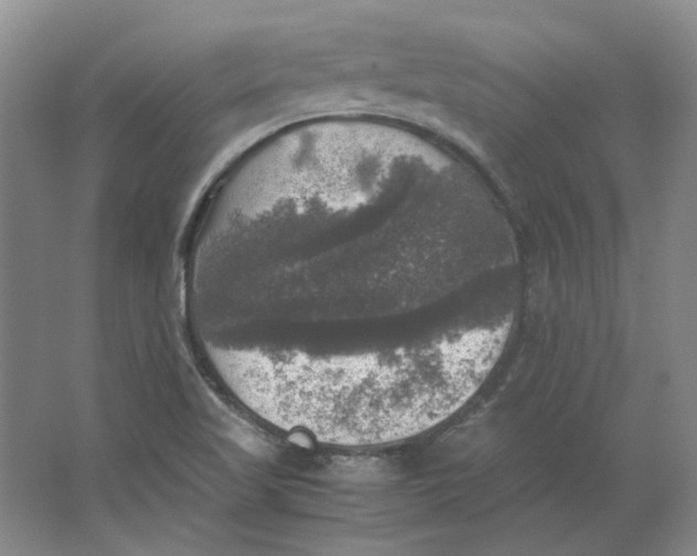 X0000063461509200602101701