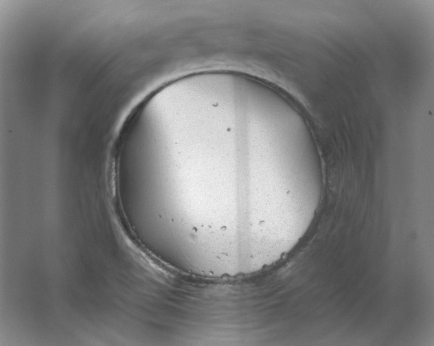 X0000063461510200602101701