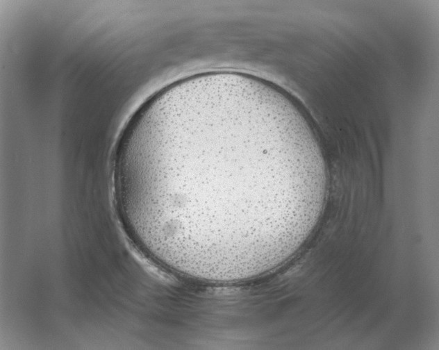 X0000063461511200602101701