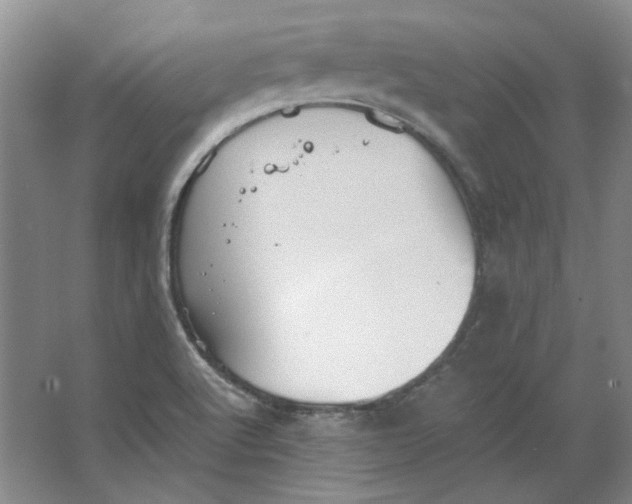 X0000063461512200602101701