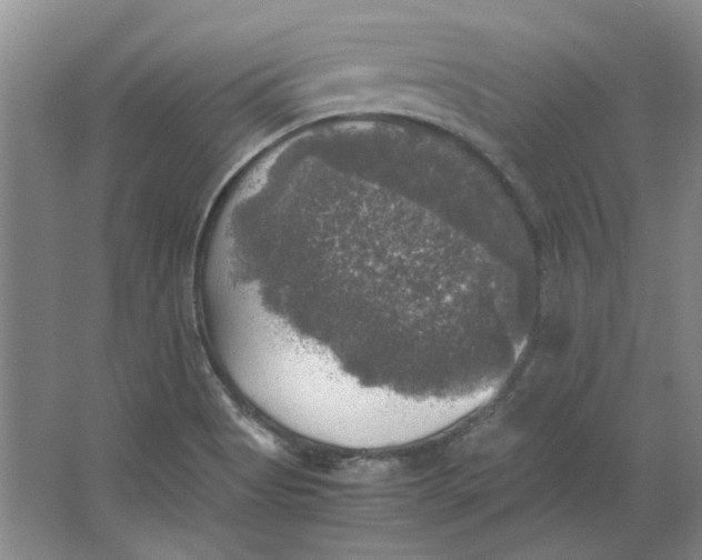 X0000063461513200602101701