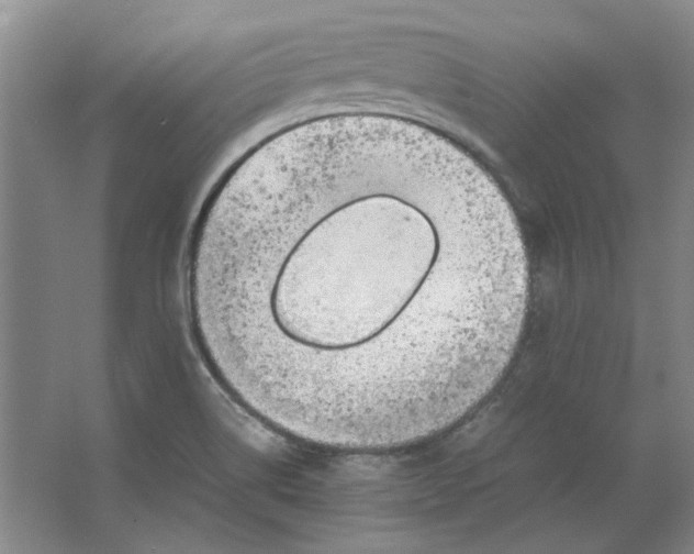 X0000063461514200602101701