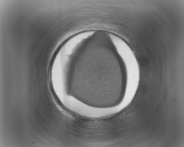 X0000063461515200602101701