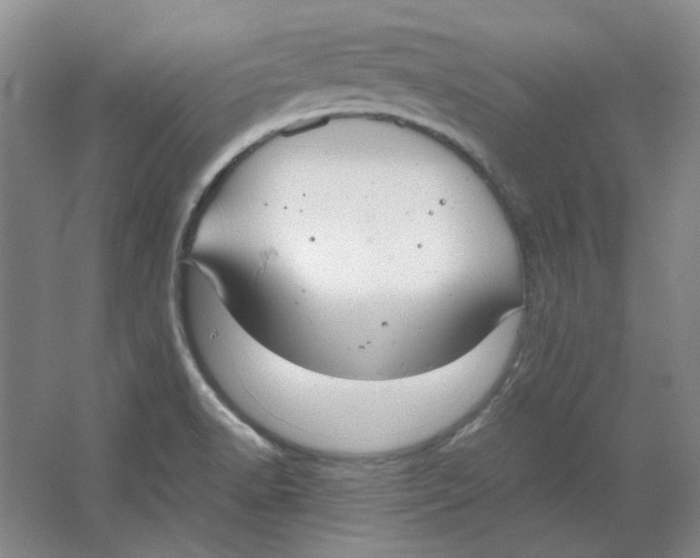 X0000063461518200602101701