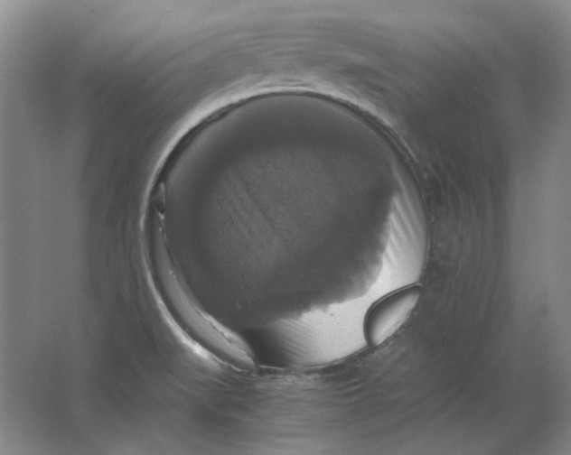 X0000063461519200602101701