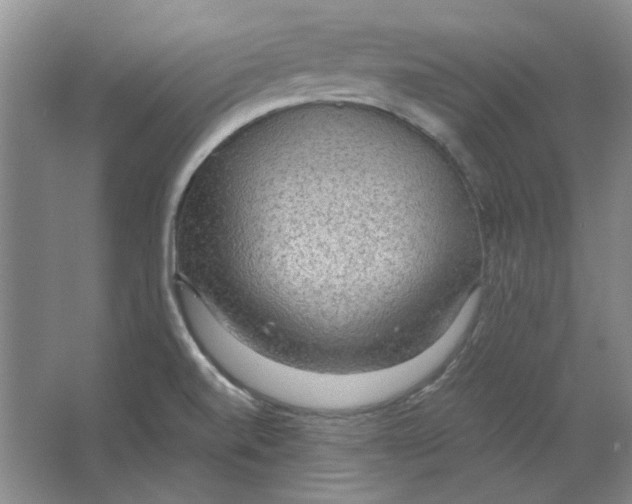 X0000063461520200602101701