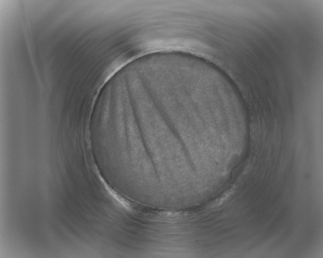 X0000063461521200602101701