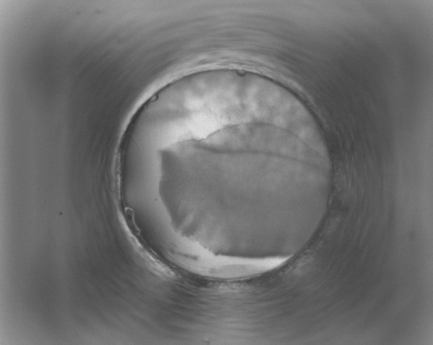 X0000063461522200602101701