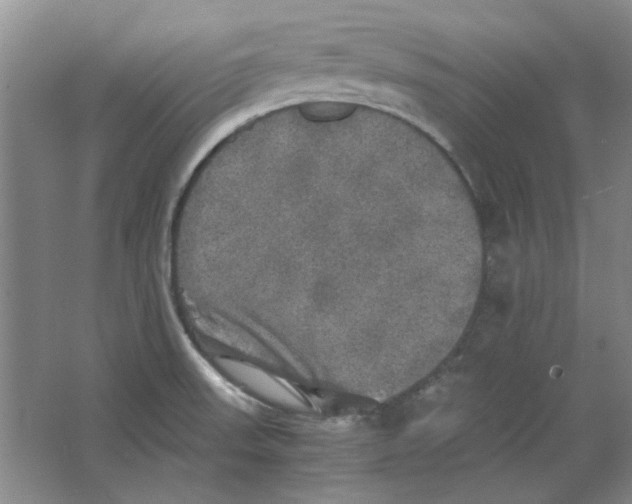 X0000063461523200602101701