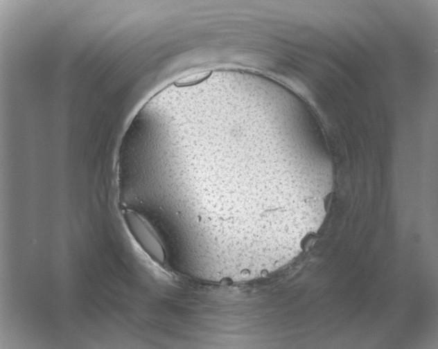 X0000063461524200602101701