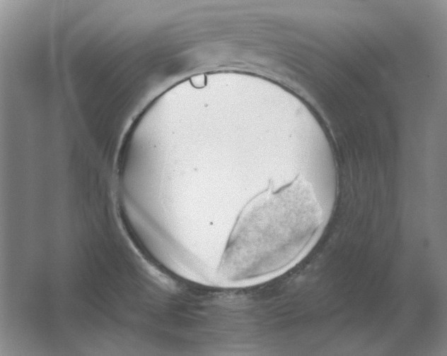 X0000063461525200602101701