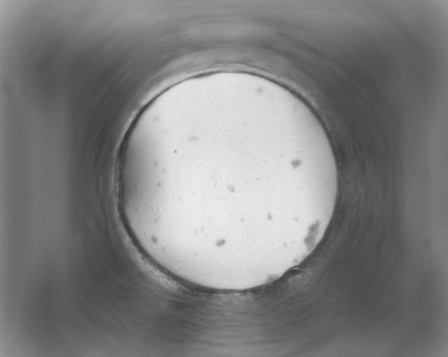 X0000063461526200602101701