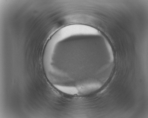 X0000063461529200602101701