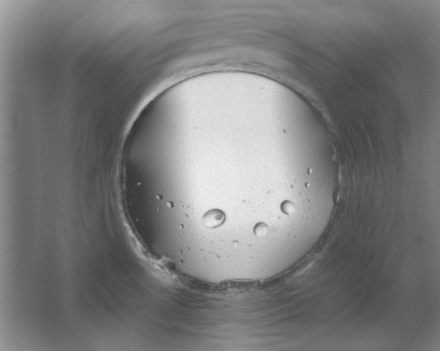 X0000063461530200602101701