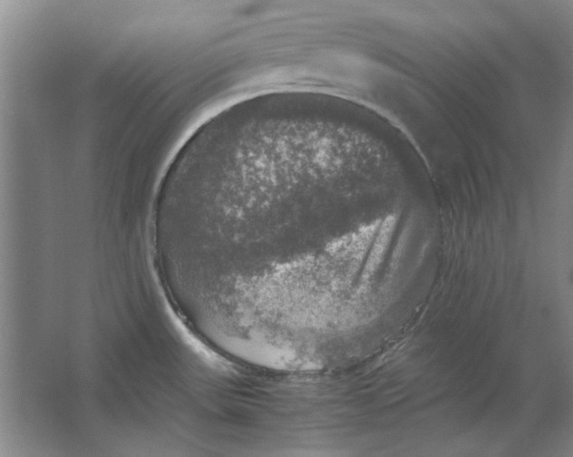 X0000063461531200602101701