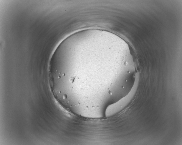 X0000063461532200602101701