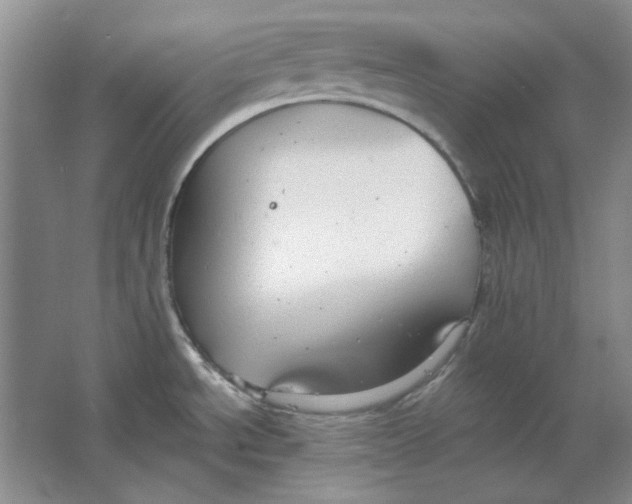 X0000063461534200602101701