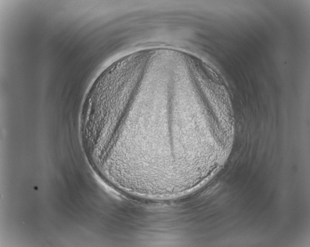 X0000063461535200602101701