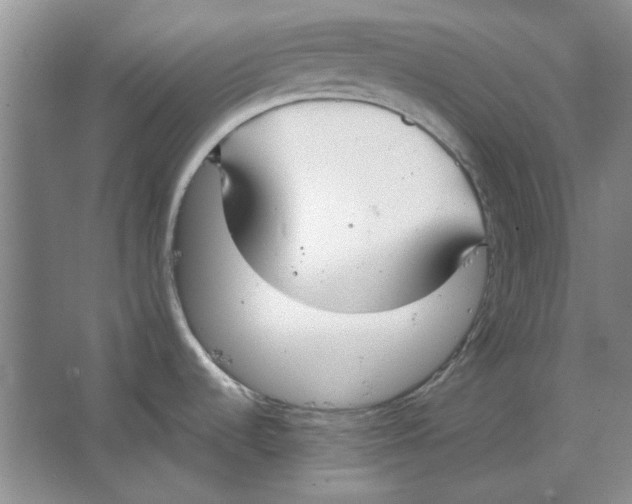 X0000063461536200602101701