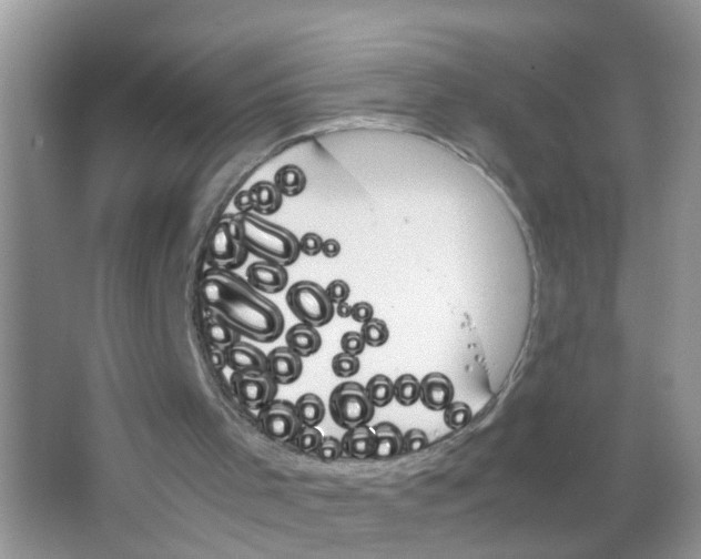 X0000063460001200602171940