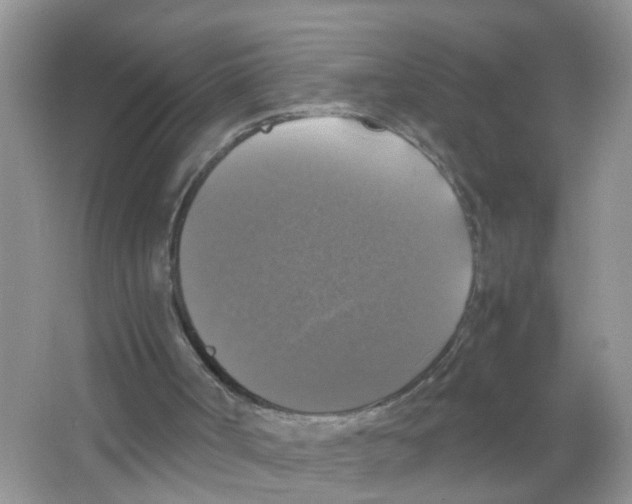X0000063460002200602171940