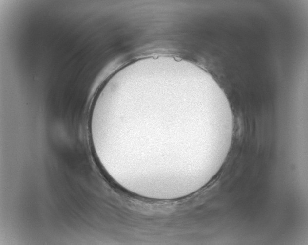 X0000063460004200602171940