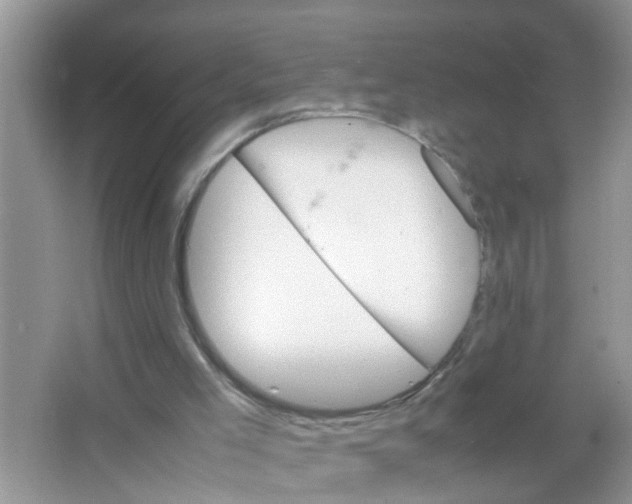 X0000063460005200602171940