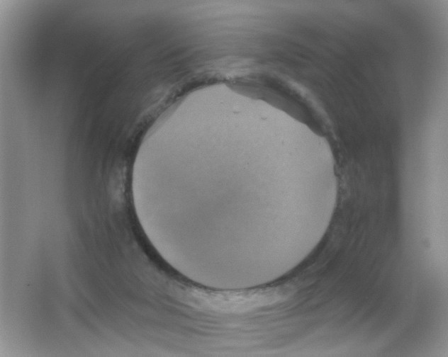 X0000063460018200602171940