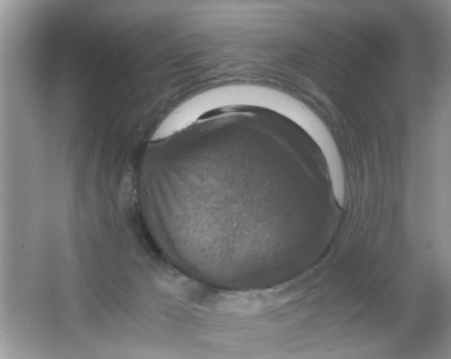 X0000063460029200602171939
