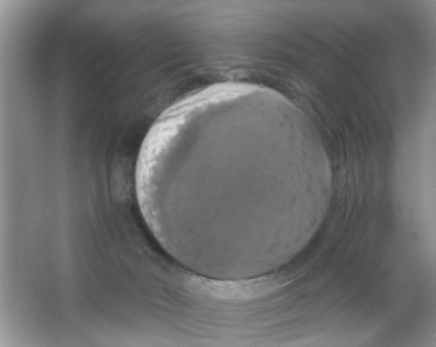 X0000063460030200602171939