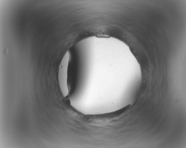 X0000063460037200602171939