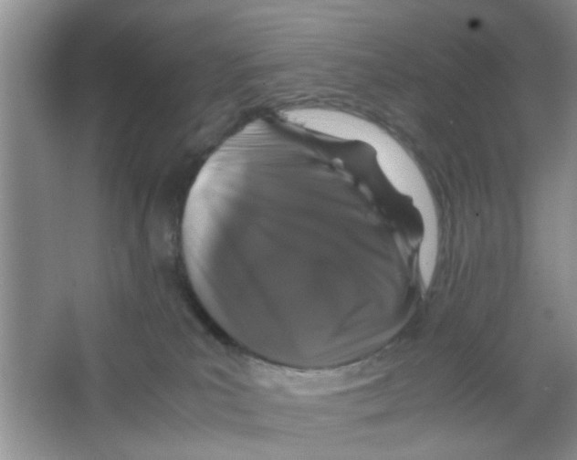 X0000063460039200602171939