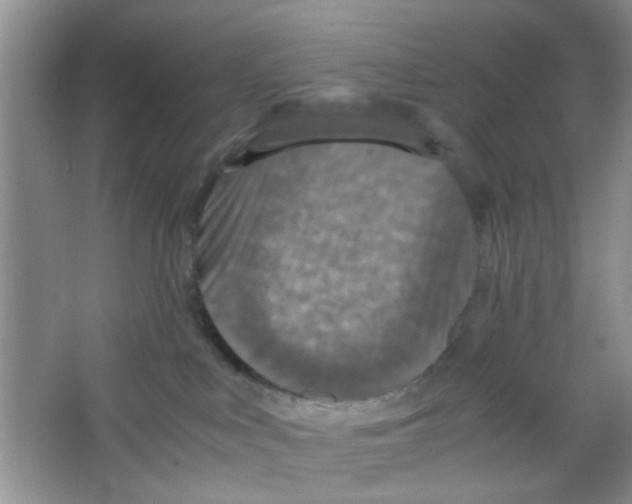 X0000063460043200602171939