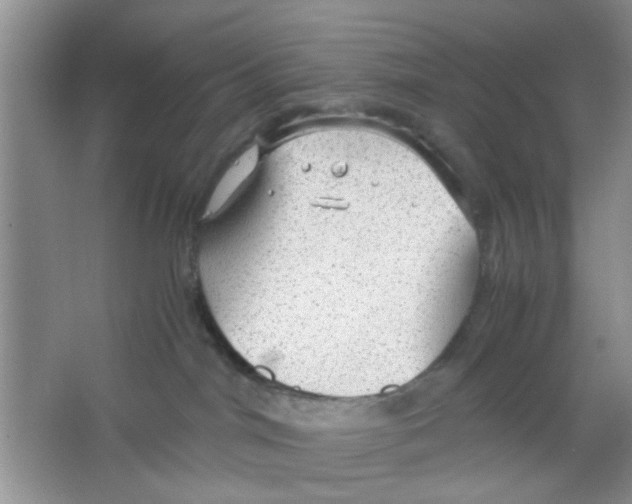 X0000063460044200602171939