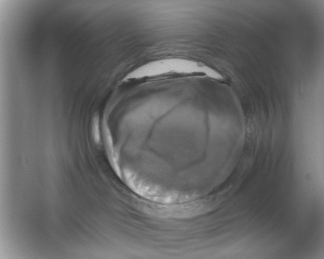 X0000063460046200602171939