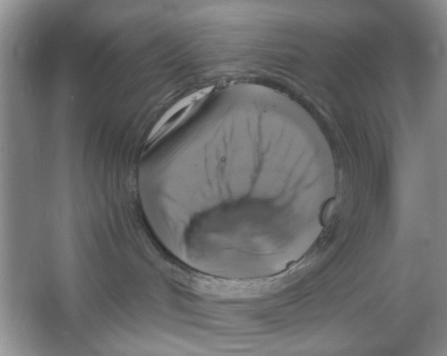 X0000063460048200602171939