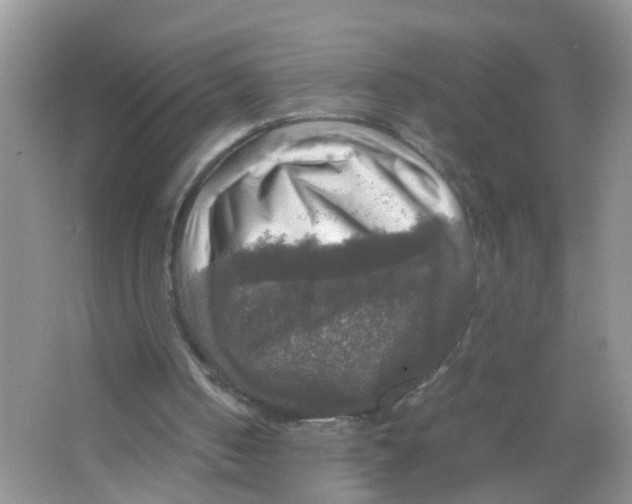 X0000063460050200602171938
