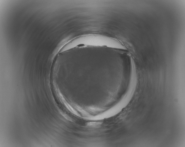 X0000063460051200602171938
