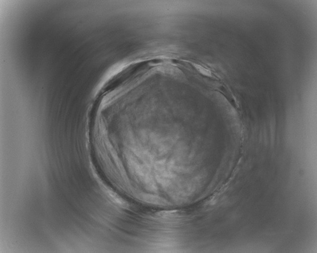 X0000063460054200602171938