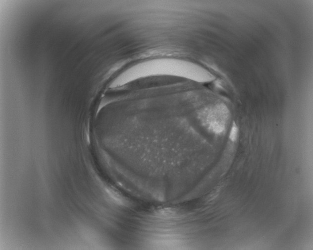 X0000063460062200602171938