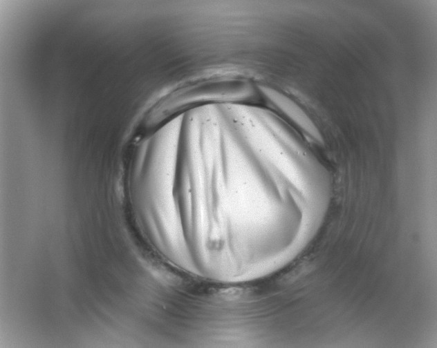 X0000063460064200602171938