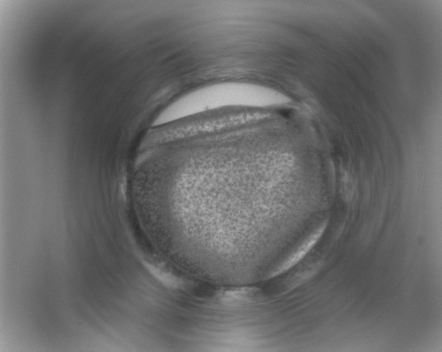 X0000063460072200602171939