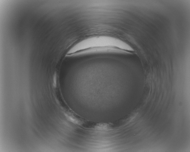 X0000063460076200602171939
