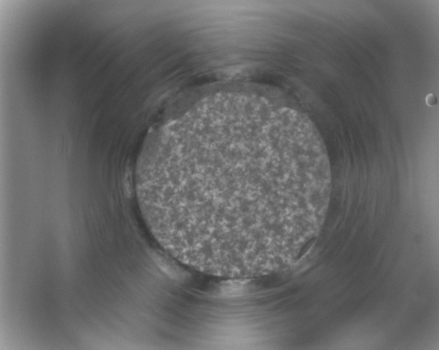 X0000063460090200602171939