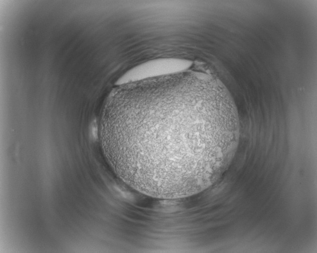 X0000063460095200602171939